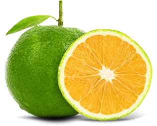 Pavna-orange